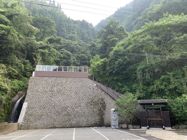 タマノキテラス