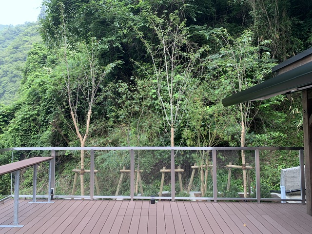 タマノキテラス