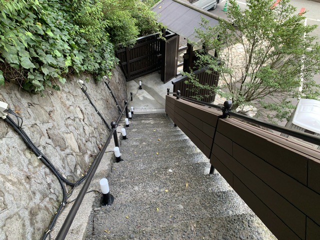 タマノキテラス