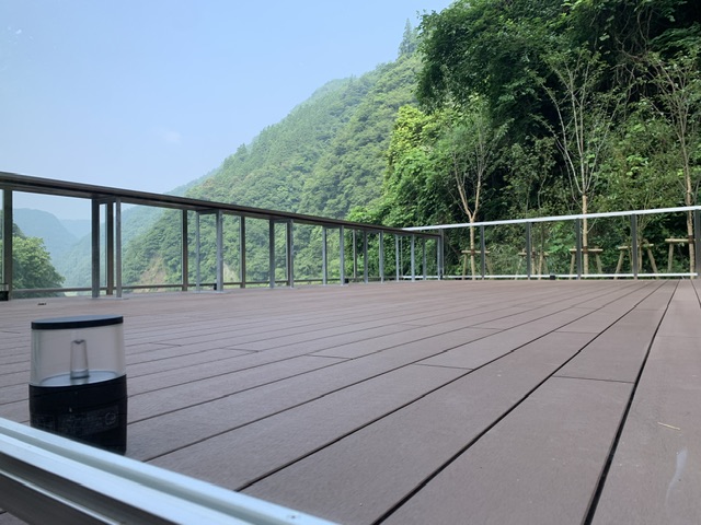 タマノキテラス