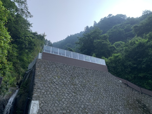 タマノキテラス
