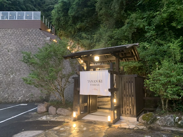 タマノキテラス